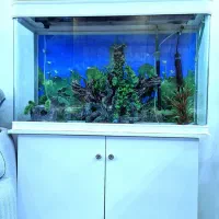 اکواریوم دلسا با پایه