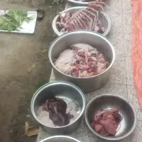 قصاب سلاخ شبانه روز