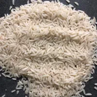 برنج هاشمی گیلان