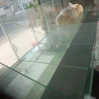 استند شکلات شیشه ای چهار طبقه