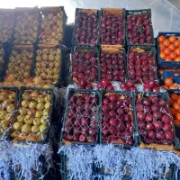 کارگر خانوم و اقا میوه فروشی