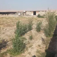 دامداری ۱۰ هزار متر/وام ۷ میلیاردی/چاه عمیق|فروش دفتر صنعتی، کشاورزی، تجاری|رامهرمز, |دیوار