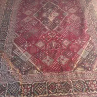 قالی ۶ متری دوعدد