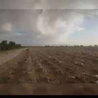 زمین مسکونی