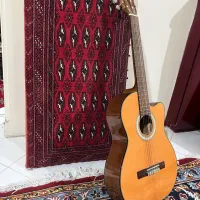 گیتار   Pao Chia     به همراه کیف|گیتار، بیس، امپلیفایر|مشهد, هفت تیر (آب و برق)|دیوار