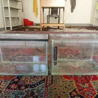فروش فوری آکواریوم