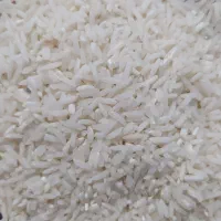 برنج هاشمی امسال