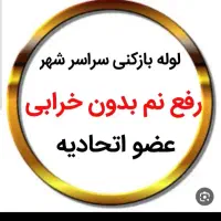 لوله‌بازکن/فنرزنی/چاه‌بازکن/شبانه روزی/تضمینی|خدمات پیشه و مهارت|اراک, |دیوار