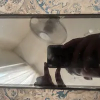 تبلت 8 اینچی نارتب