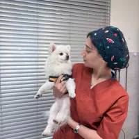 مربی سگ/آموزش سگ /اصلاح رفتار /تک جلسه و دوره کامل|خدمات آموزشی|تهران, پونک|دیوار