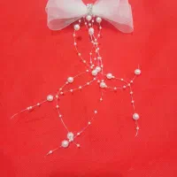 پاپیون خوشگل و پرطرفدار و پرفروشمون