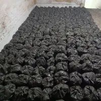 ذغال اسپادان