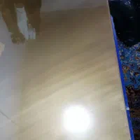 مبلمان +میز ناهار خوری ۶نفره|مبلمان خانگی و میز عسلی|اهواز, نادری|دیوار