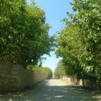 721 متر باغ جابان بزرگ (دماوند) سندی