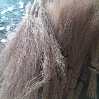 جارو محلی بلند