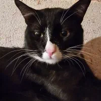 گمشده، مژدگانی ۵میلیون