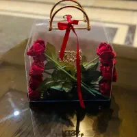 گل ربانی|گل مصنوعی|گرگان, |دیوار