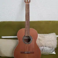 گیتار آلمانزا ۴۰۰پیکاپ