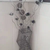 ابنما و کنار سالنی