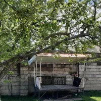 اجاره ویلا استخر باغ ویلا آلاچیق تاب خانواده|اجارهٔ کوتاهمدت ویلا و باغ|ماسال, |دیوار