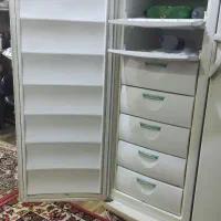 یخچال دوقلوی پارس