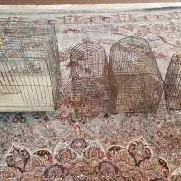 ۳ عدد قفس سهره ۱ عدد قفس مرغ عشق هر ۴ عدد با هم