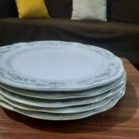 ظرف غذا خوری