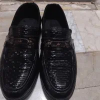 کفش مجلسی|کیف، کفش، کمربند|قم, نیروگاه|دیوار