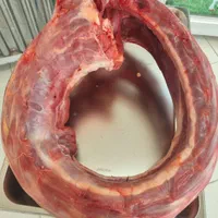 خورده گوشت شترمرغ کشتار روز کیلویی۶۰۰ت|خوردنی و آشامیدنی|سبزوار, امیر کبیر|دیوار