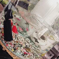 آکواریوم با ماهی های رایگان به توضیحات دقت کنید|ماهی|تهران, کرمان|دیوار