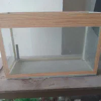 آکواریوم  سالم