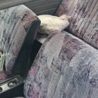 پیکان مدل ۸۰ بدون رنگ|خودرو سواری و وانت|اقلید, |دیوار