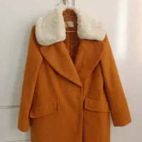 پالتو خردلی