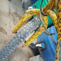 دوچرخه سایر ۲۰ فروش فوری|دوچرخه، اسکیت، اسکوتر|قدس, شهرک فرزان|دیوار