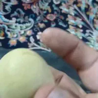 سنگهای ارزشمند|جواهرات|بلده, |دیوار