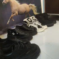 تعداد زیاد کفش کتونی .با.صندل.کیف بزرگ کیف کوچیک|کیف، کفش، کمربند|رشت, استقامت ۱|دیوار