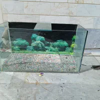 اکواریوم