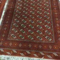 فروش فرش جرگلان و4عدد پشتی نونو 6متری|فرش|گمیشان, |دیوار