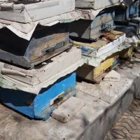 جعبه و نیم طبق