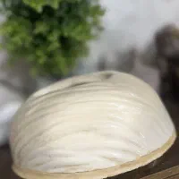گلدان مراکشی بدون گل عکس تزئینی|گل مصنوعی|تهران, مشیریه|دیوار