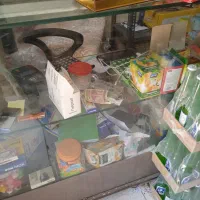 یخچال سه درب پشت بسته سوپر مارکتی|فروشگاه و مغازه|تهران, عبدل‌آباد|دیوار