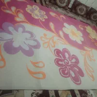 قالی فرش|فرش|داراب, |دیوار