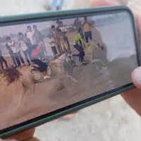 اسب به نام یاغی افسانه‌ای