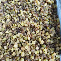 کشمش خوراکی (آبگیری )|خوردنی و آشامیدنی|شهریار, شهریار|دیوار