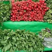 چندنفرهمکار خانم کاردر کارگاه سبزی مارکت