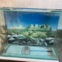 آکواریوم