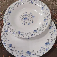 سرویس زیبای آرکوپال امارات