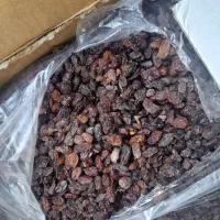 کشمش شکسته آفتابی