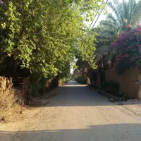 فروش باغ باغچه|فروش زمین و ملک کلنگی|دزفول, |دیوار