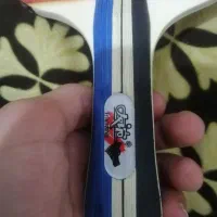 راکت پینگ پنگ|ورزش‌های توپی|نیشابور, گنبد سبز|دیوار